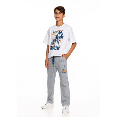 Штани, Сірий, DATCH Італія, 26VL