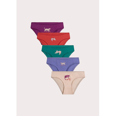 Білизна, Труси 5 шт.Фіолетовий, Зелений,, Червоний, Du pareil au meme Франція, 26OZ