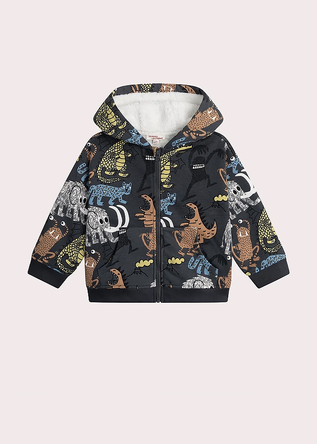 Кофта, з капюшоном, утеплена, Темно-сірий, Du pareil au meme Франція, 26OZ Кофта, з капюшоном, утеплена, Темно-сірий, Du pareil au meme Франція, 26OZ