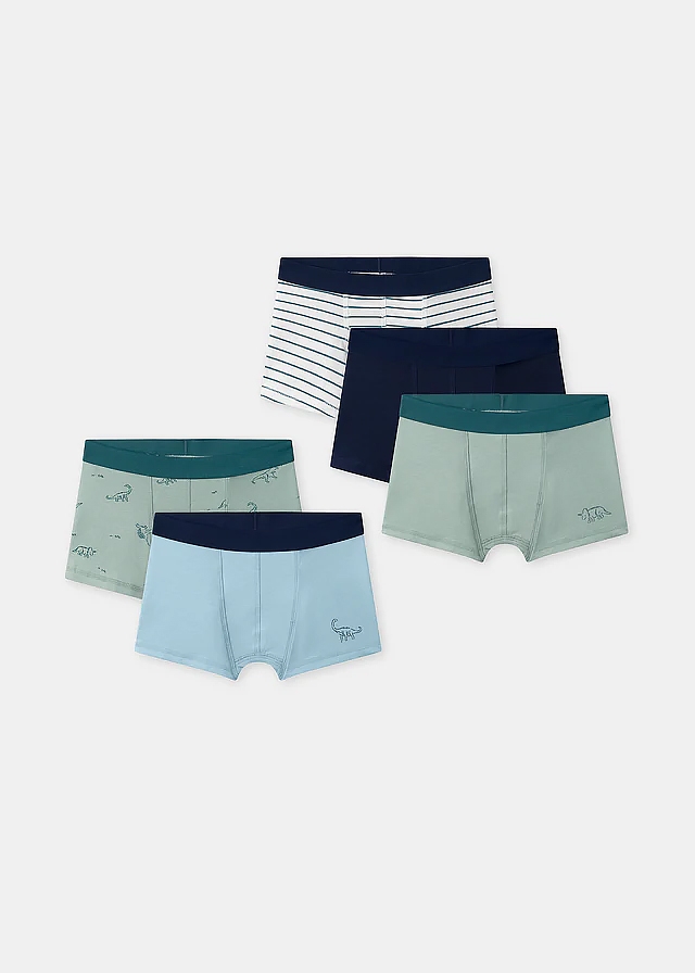 Білизна, Боксери 5 шт., М'ятний, Sergent Major Франція, 26VL